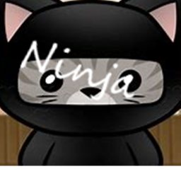 Ninja Training