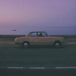 𝐈 𝐜𝐨𝐮𝐥𝐝