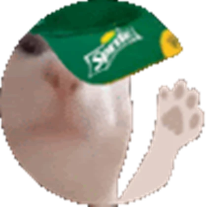 Raton's Cool Club House Roblox group icon