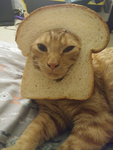 Toasty Games!!