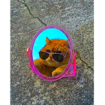 Indie;)