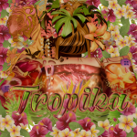 Tropika Juice Bar