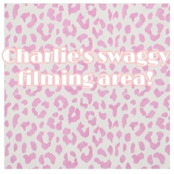 Charlie's swaggy filming area!