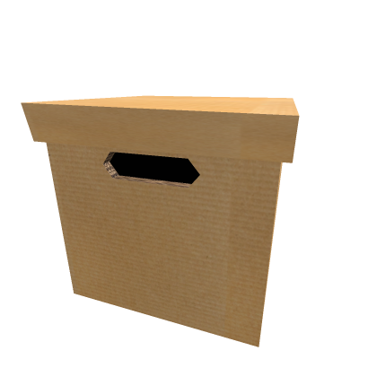 Carton Box
