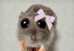 FNAF CUTE