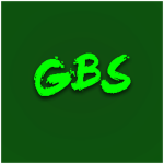 GBS FLIGHT