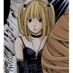 -vinks-