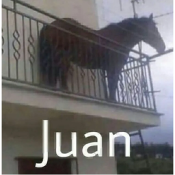 meme run
