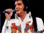 Elvis the king group