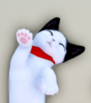 Cats!!! :3