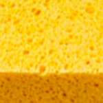 DRYSPONGE