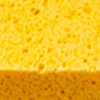 DRYSPONGE Roblox group icon