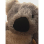 Coco koala gang