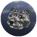 Urban Camo Doge
