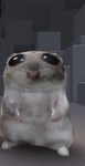 The hamster gigachads