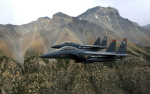U.S military patrol