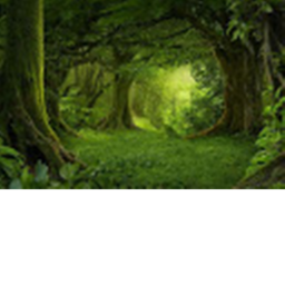 little wood roleplay