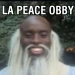 [UPDATE] La Peace Obby icon