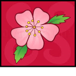 sakuraflower club