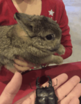 - [ ??? ] -