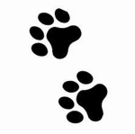 Feline Pawprints