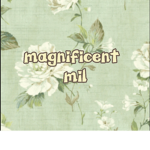 Magnificent Mil