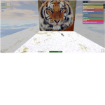 the tiger cheerleading group