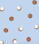 Coconut Street