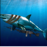 Shark's United