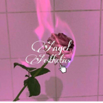 Angel Aesthetics Store