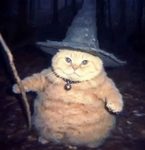 Wizard Cat's UGC Group