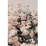 aesthetic gray