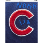 Noah cub new