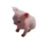 DONTJOINPLSTHANKS