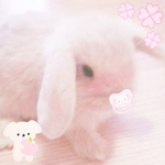 - ғᴀᴠ -
