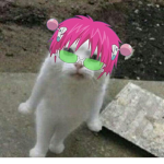 meow on yo ash