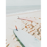 summer (ᵔᴥᵔ)