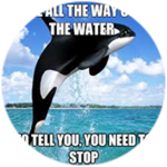 reset = STOP (special)