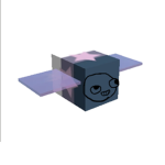 Purple team fan group