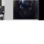 Robux fornoah