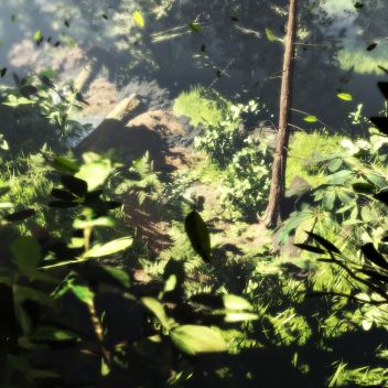 Forest..