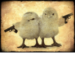 MURDERER CHICKEN GROUP