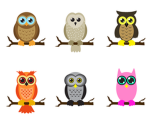Evil owls cult