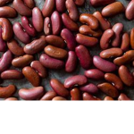 Bean clan united