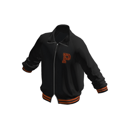 Princeton University Blue Vintage College Jacket