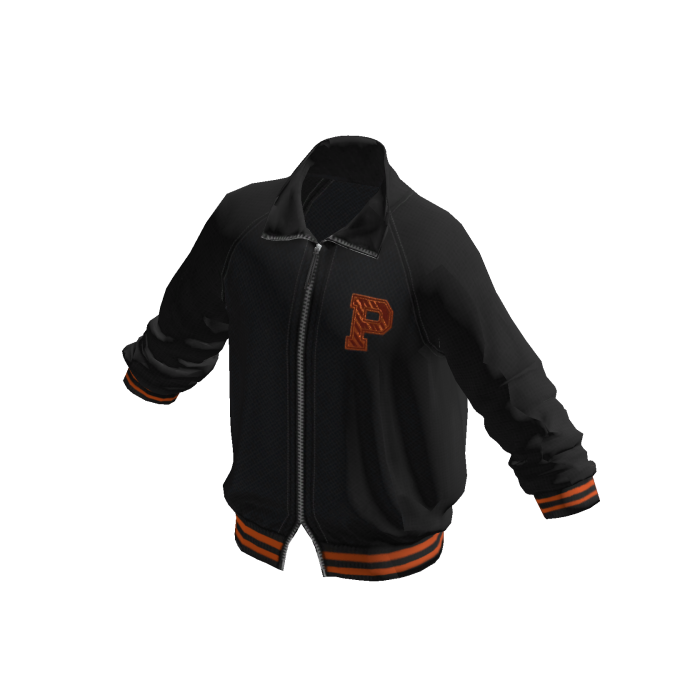 Princeton University Blue Vintage College Jacket