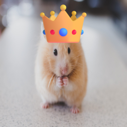 Hamster Palace