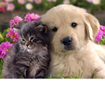 ### And Vivi