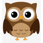 owl i like you