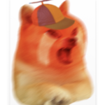 The Official Doge United